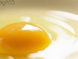 تخم مرغ پز برقی با آب پز کردن هم زمان ۱ تا ۷ تخم مرغ در ۱۰ دقیقه و خاموش شدن خودکار