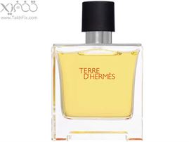 تخفیف ویژه یکی از محبوب ترین عطر های مردانه ی جهان Terre d Hermes از کمپانی Hermes